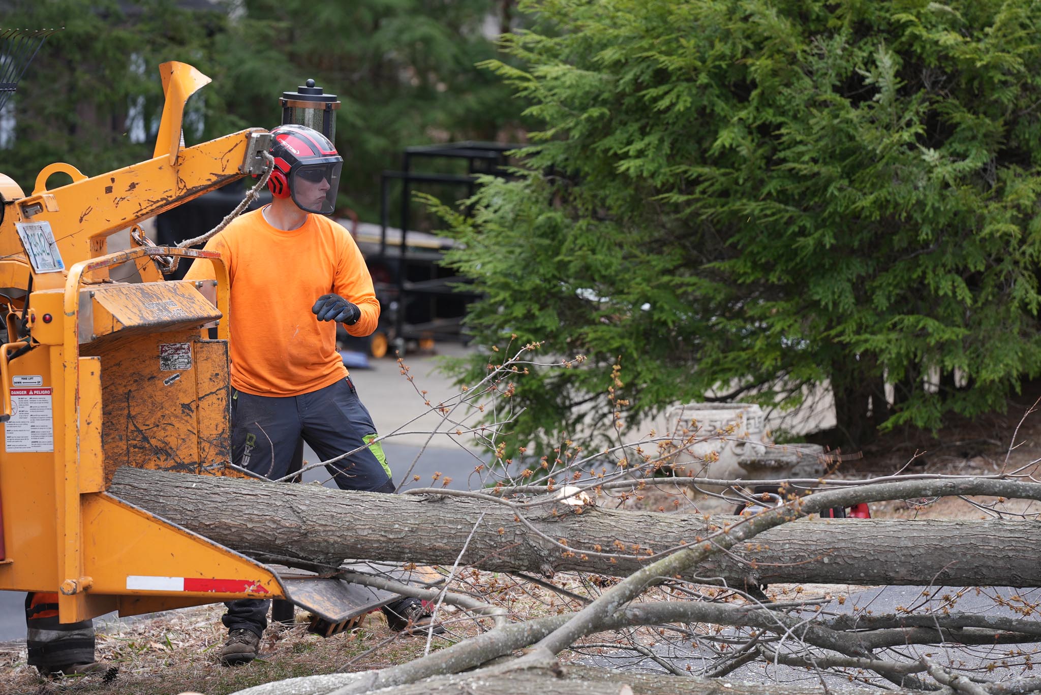 What to Expect After a Tree Removal