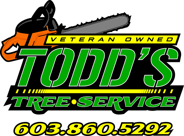 Todds Tree Service